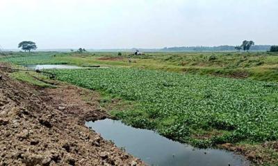 শিল্প কারখানার বর্জ্যে ধ্বংস হচ্ছে কালীগঞ্জের কৃষিজমি