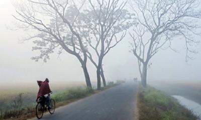 নওগাঁর তাপমাত্রা ৮.৬ ডিগ্রির ঘরে