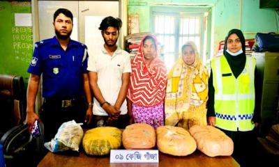 সিংগাইরে ৯ কেজি গাঁজাসহ ৩ মাদক কারবারি গ্রেপ্তার