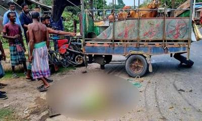সাতক্ষীরার মির্জাপুরে গরুবোঝাই আলমসাধু উল্টে নিহত ১