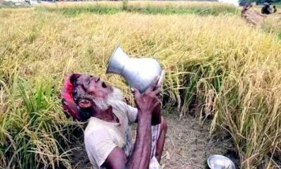 তীব্র তাপদাহে  ডাসারজুড়ে খেটে মানুষের ভোগান্তি