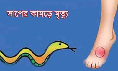 ঝালকাঠিতে সাপের কামড়ে এক গৃহবধুর মৃত্যু