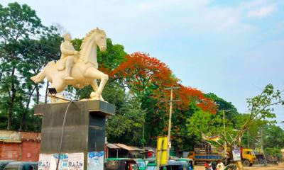 ঘোড়াশালে কৃষ্ণচূড়া নজড় কাড়ছে প্রকৃতিপ্রেমীদের