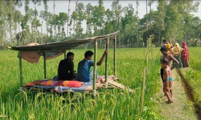 সুন্দরগঞ্জে ধানক্ষেতে ঘর তুলে জমি দখলের চেষ্টা