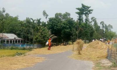 সড়ক তো নয় যেন বাড়ির উঠান...