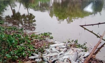 পুকুরে বিষ প্রয়োগ, থানায় অভিযোগ