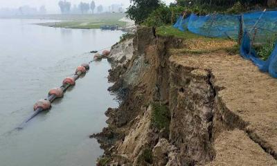 উল্লাপাড়ায় ফুলজোড় নদীতে ভাঙ্গন