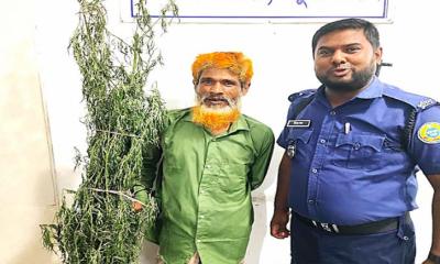 মির্জাগঞ্জে গাঁজার গাছসহ মাদকসেবী ও শ্রমিকলীগের সাবেক সভাপতি গ্রেফতার