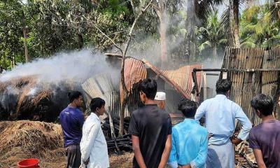 দুর্বৃত্তের আগুনে পুড়ে অঙ্গার কৃষকের ৩ গরু