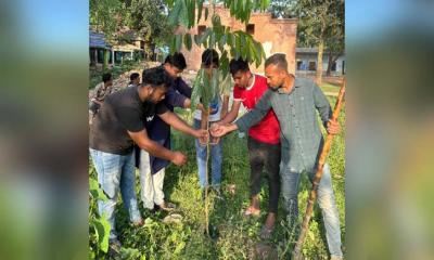 তীব্র তাপদাহে ফলদ ও বনজ বৃক্ষরোপণ