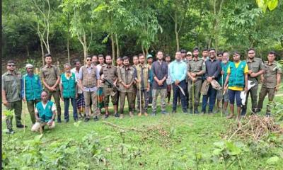 শ্রীবরদী গারো পাহাড় এলাকায় হাতির বিচরণ নির্বিঘ্ন করতে বন বিভাগের অভিযান