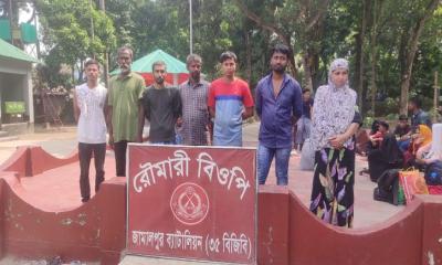 ভারত থেকে বাংলাদেশে অবৈধ অনুপ্রবেশ, রোহিঙ্গাসহ আটক ৩০