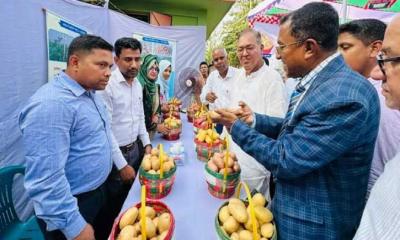 দুর্নীতি করে কেউ যেনো কৃষকের কলিজা ছিদ্র না করে : কৃষিমন্ত্রী