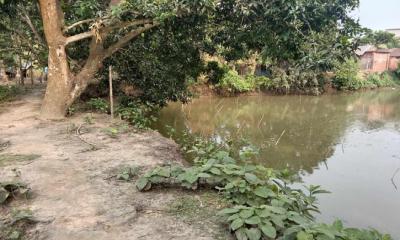 মান্দায় এক প্রবাসীর জমি জবরদখলের অভিযোগ