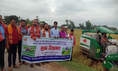ঝিনাইগাতীতে সমলয় পদ্ধতিতে বোরো ধান কর্তনের উদ্বোধন