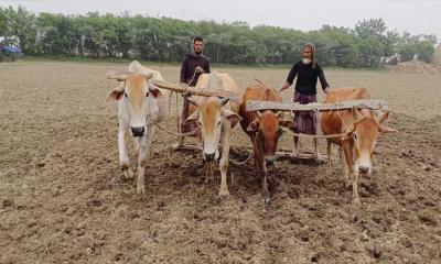 রায়পুরে তাপমাত্রা ৮ ডিগ্রি সেলসিয়াস খেটে খাওয়া নিম্ন আয়ের মানুষের কষ্ট