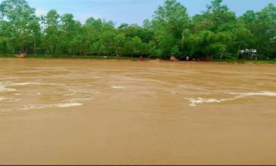 শেরপুরে পাহাড়ি ঢল, বাড়ছে নদীর পানি  বন্যার শঙ্কা