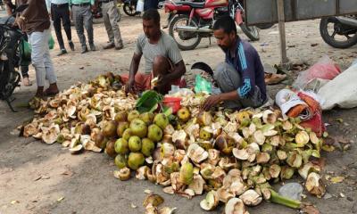 জীবননগরে তালের শাঁসের কদর বেড়েছে