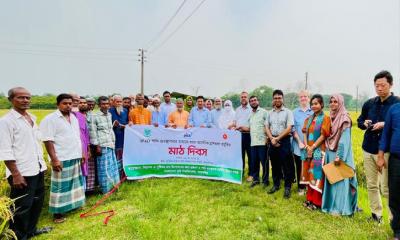 বাকৃবিতে ধানে আর্সেনিক হ্রাসকরণ প্রযুক্তির মাঠ দিবস অনুষ্ঠিত