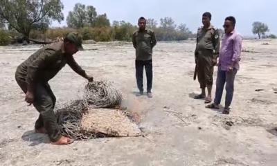 শরণখোলার শেলারচরে অবৈধ হরিণের ফাঁদ পুড়িয়ে ধ্বংস