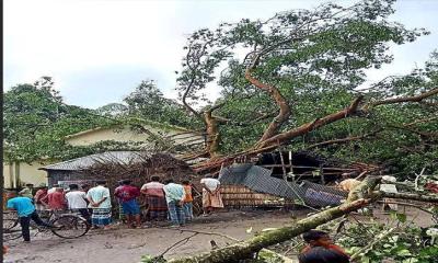 গোবিন্দগঞ্জে ঝড়ের রাতে বটগাছ ভেঙে চায়ের দোকানে নারী নিহত