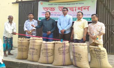 মধ্যনগরে বোরো ধান সংগ্রহের উদ্বোধন
