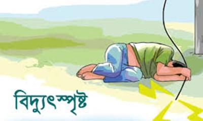 চুয়াডাঙ্গায় বিদ্যুৎস্পৃষ্টে এক জনের মৃত্যু