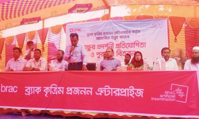 গৌরীপুরের  ব্র্যাকের কৃত্রিম প্রজননে উন্নত জাতের বাছুর প্রদর্শনী ও পুরস্কার বিতরণ অনুষ্ঠিত