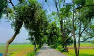নরসিংদীতে ধান বোঝাই ট্রাক্টরের ধাক্কায় কৃষকের মৃত্যু