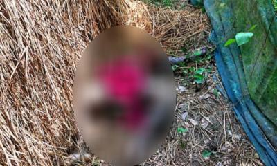 বাউফলে নিখোঁজ মাদক ব্যবসায়ীর মরদেহ উদ্ধার