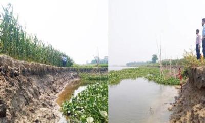 ধনাগোদা নদীর ভাঙনে হুমকির মুখে ফসলি জমি, বসতবাড়ি- দুঃশ্চিন্তায় এলাকাবাসী