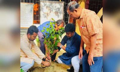 সোহরাওয়ার্দী কলেজ ছাত্রলীগের উদ্যোগে বৃক্ষরোপণ কর্মসূচি পালন