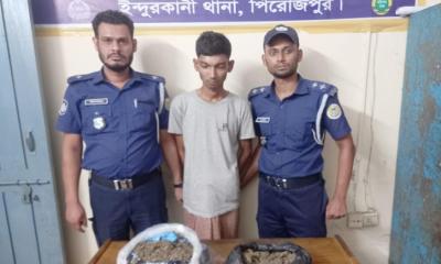পিরোজপুরে আড়াই কেজি গাঁজাসহ মাদক ব্যবসায়ী গ্রেফতার
