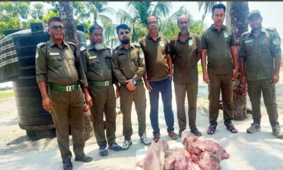 সুন্দরবনে বন বিভাগের অভিযানে ৪২ কেজি হরিণের মাংস জব্দ