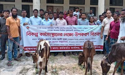উজিরপুরে ৬৫ জেলে পরিবারের মাঝে বকনা বাছুর বিতরণ