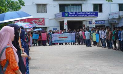 মৎস্য অধিদপ্তরের অর্গানোগ্রাম বাস্তবায়নের দাবিতে সিকৃবিতে মানববন্ধন অনুষ্ঠিত