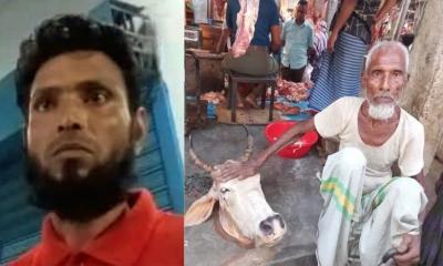 গরু চুরি করে কসাইয়ের কাছে বিক্রি, মাথা দেখে শনাক্ত করল মালিক