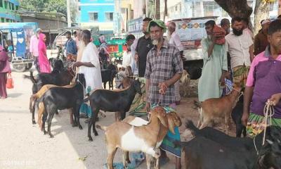 গৌরীপুর বাজার ইজারা নিয়ে দ্বন্দ্ব, সংঘর্ষের আশংকা