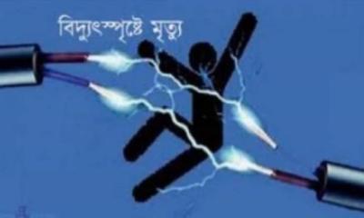 মঠবাড়িয়ায় বৈদ্যুতিক ফাঁদে শ্রমিকের মৃত্যু