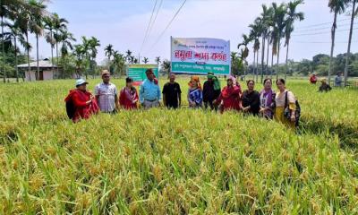 কৃষি চাষে নারীদের উদ্ভূদ করতে তাদেরকে উৎসাহ দিতে হবে : পাজেপ চেয়ারম্যান জিরুনা ত্রিপুরা
