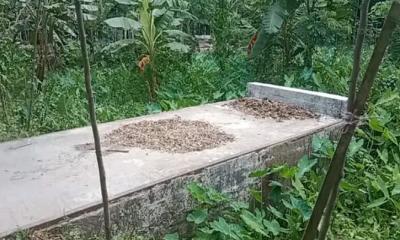 খাল ও সড়কবিহীন দাঁড়িয়ে আছে সেতু