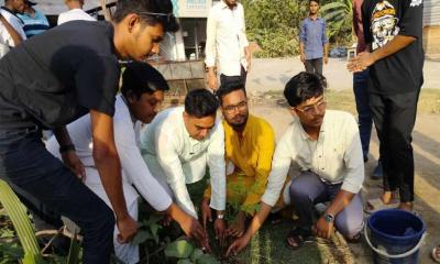 গোদাগাড়ী উপজেলা ছাত্রলীগের বৃক্ষ রোপণ কর্মসূচি