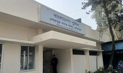 শেরপুরে মরিচখেতে মিলল নারীর লাশ
