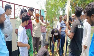 রাণীশংকৈলে ৩৫টি শিক্ষাপ্রতিষ্ঠানে শুভ শক্তি ইউনিটির গাছের চারা রোপণ