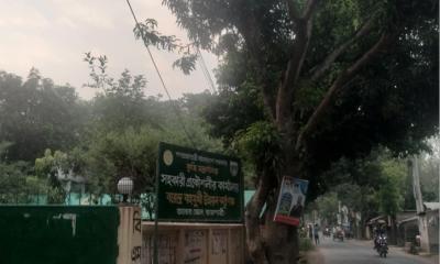 বিএমডিএর গোপনে আমগাছ নিলাম প্রক্রিয়া অবশেষে স্থগিত