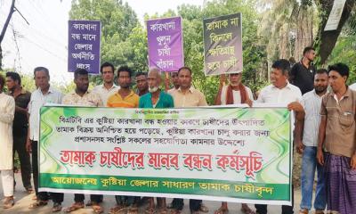 কুষ্টিয়ায় বিএটিবি কারখানা চালুর দাবিতে তামাক চাষিদের মানববন্ধন