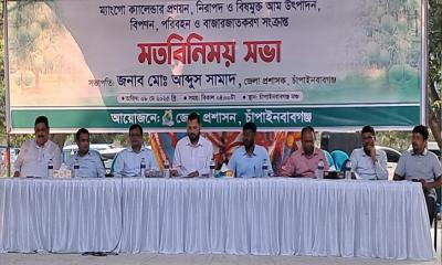 চাঁপাইনবাবগঞ্জে এবার থাকছে না ‘ম্যাংগো ক্যালেন্ডার’, পরিপক্ক আমই পাড়া যাবে