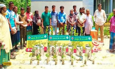 নান্দাইলে পারিবারিক পুষ্টি বাগান প্রদর্শনীর উপকরণ বিতরণ