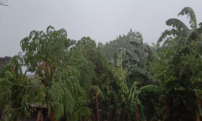টানা কয়েকদিনের তাপদাহের পর স্বস্তির বৃষ্টি