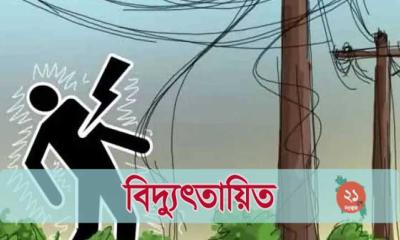 বোয়ালমারীতে বিদ্যুৎস্পৃষ্ট হয়ে গৃহবধূর মৃত্যু